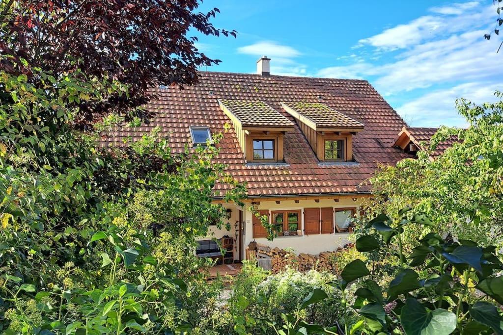 Gemuetliche Waldrandlage In Badenweiler Sehringen Ferienwohnung Exterior photo
